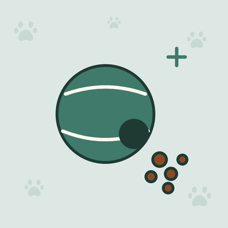 Jouets interactifs pour chat