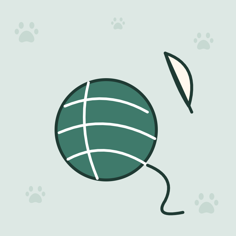 Jouets pour chat