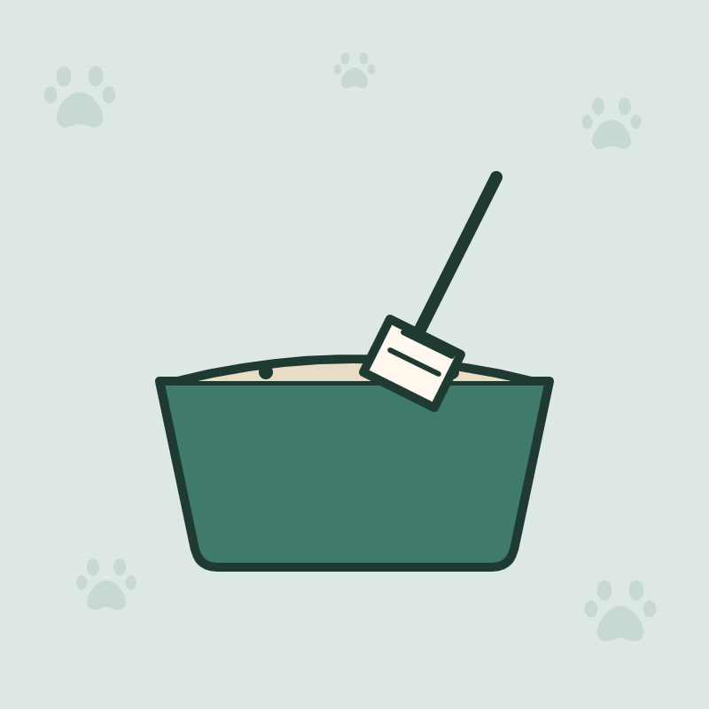 Litière pour chat