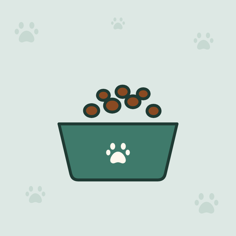 Nourriture sèche pour chat