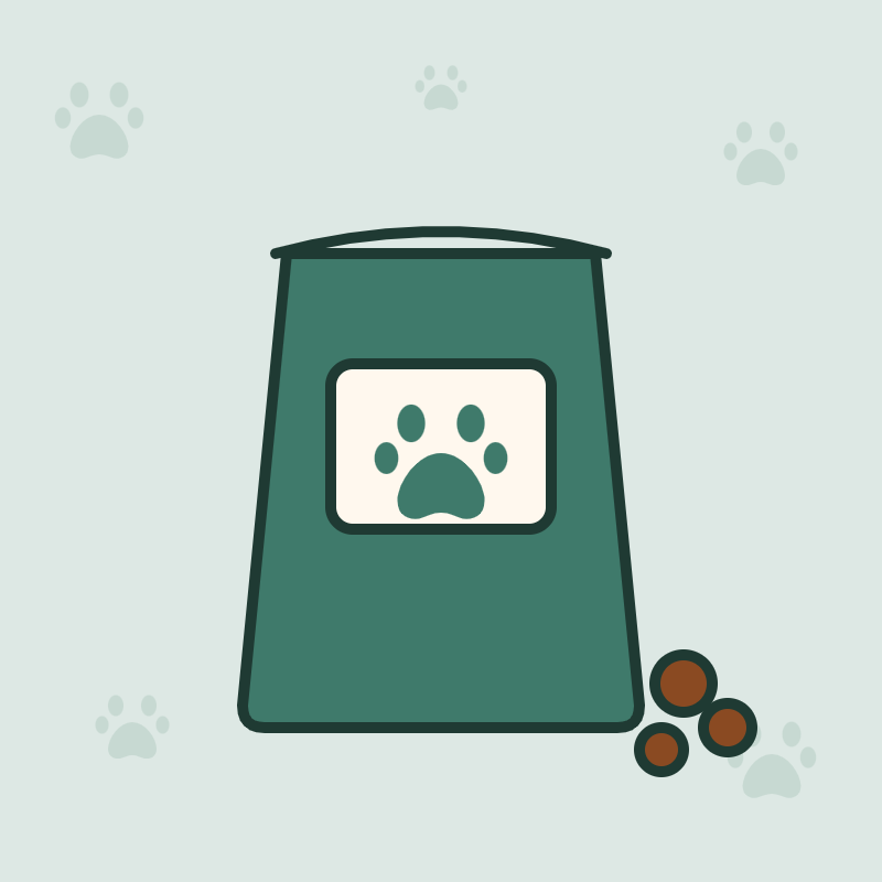 Nourriture pour chat