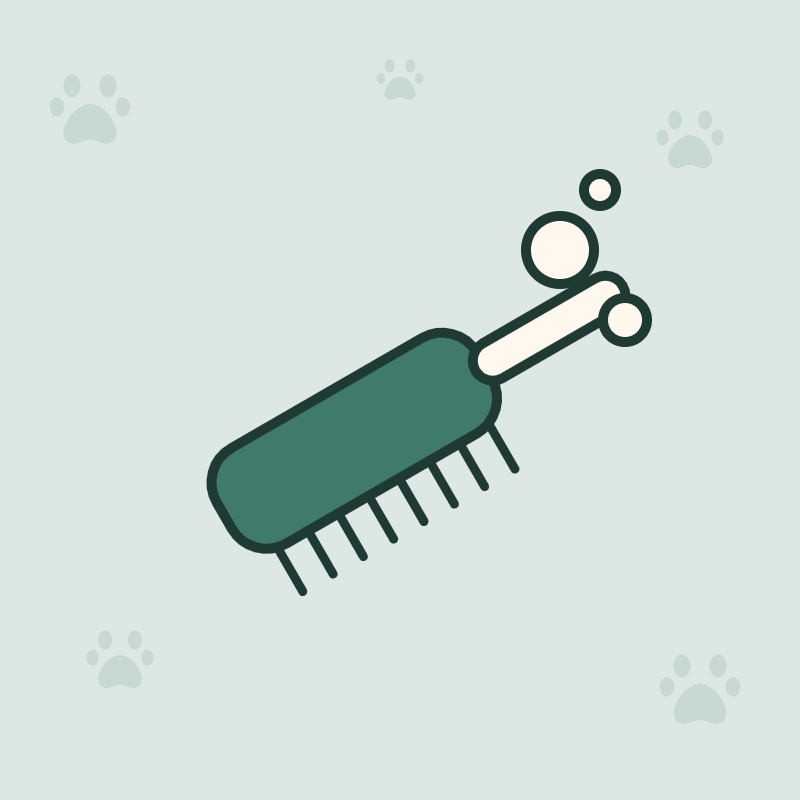 Soins et hygiène pour chat