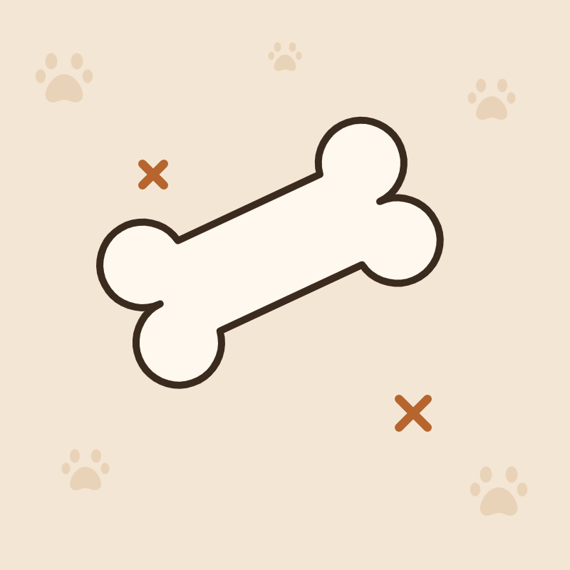 Mastication pour chien