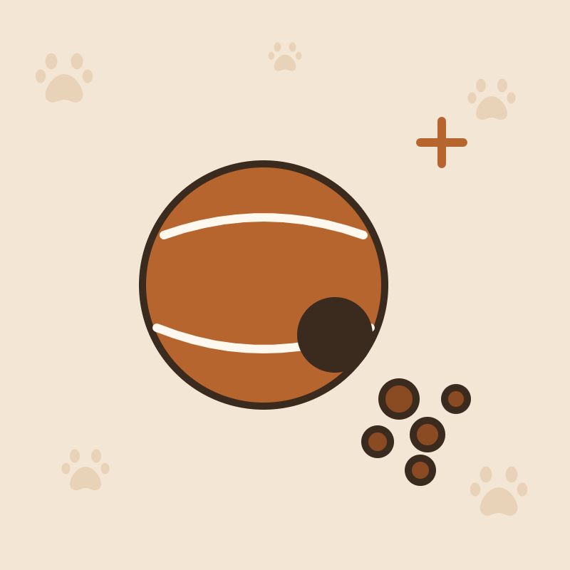 Jouets interactifs pour chien