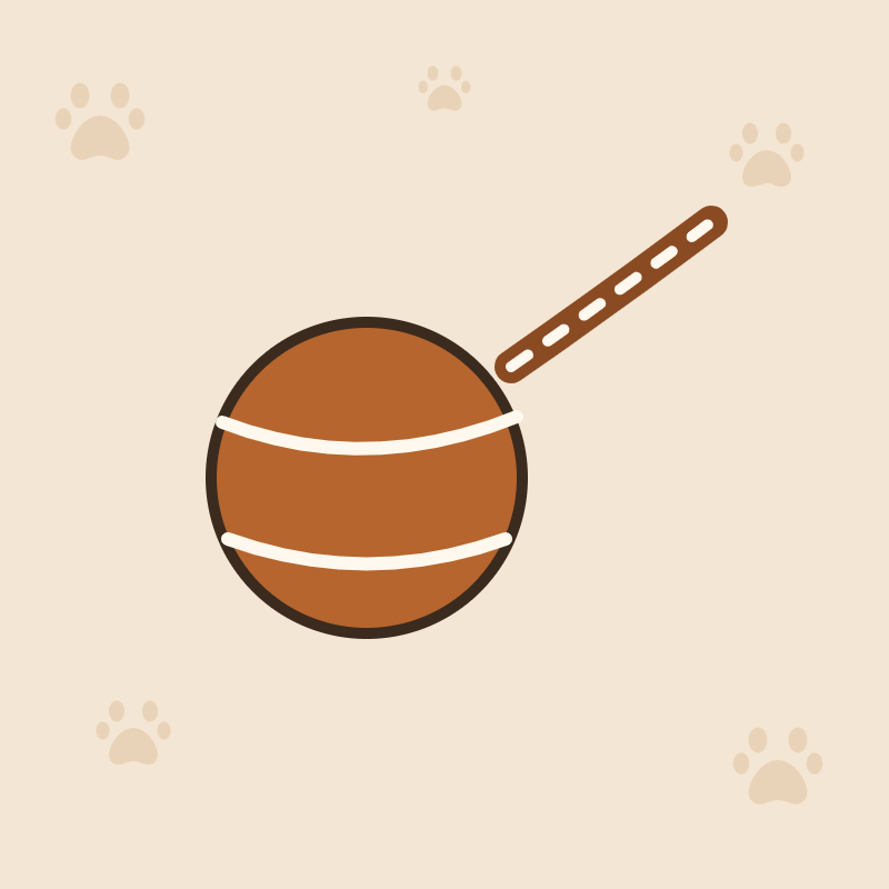 Jouets pour chien