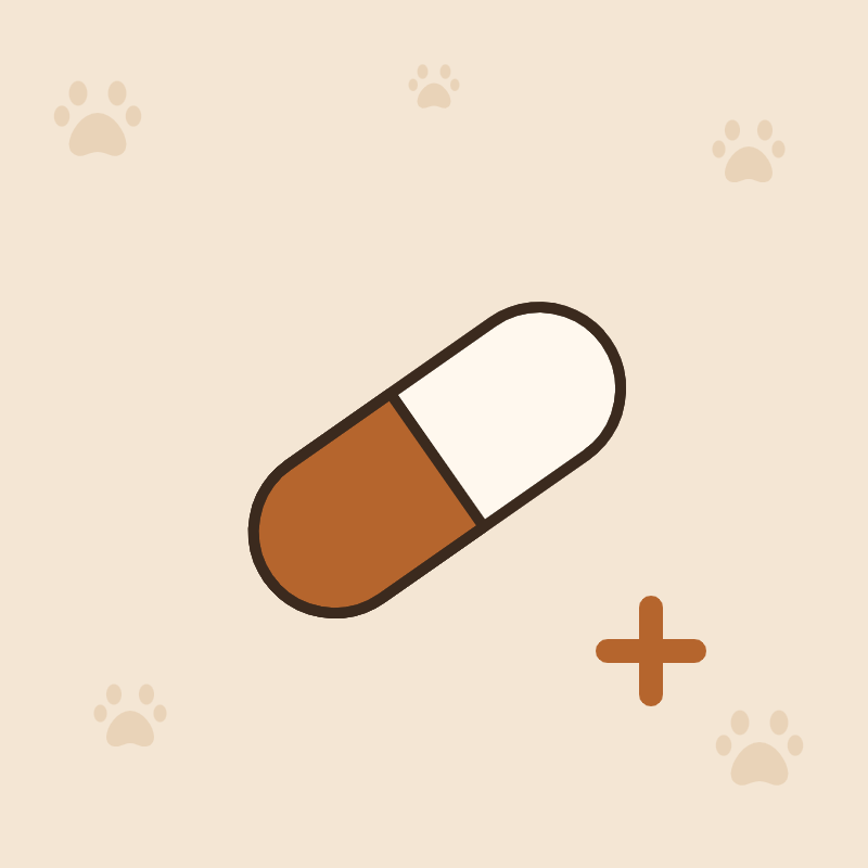 Santé et suppléments pour chien