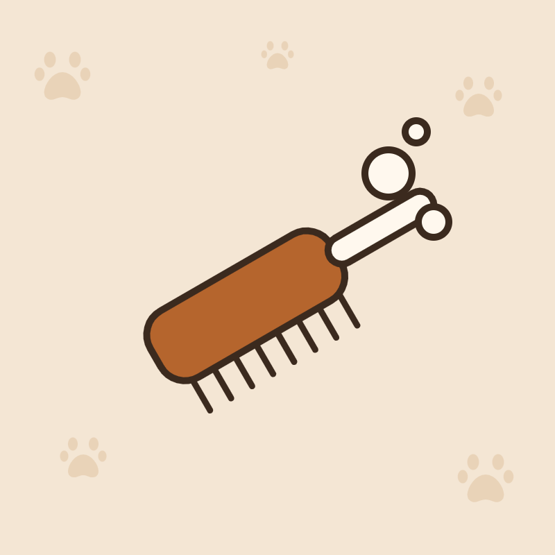 Soins et hygiène pour chien