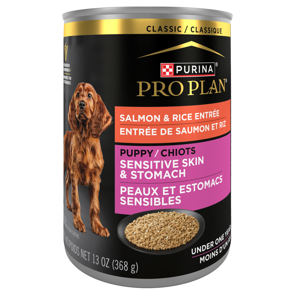 Purina Pro Plan chiot peaux & estomacs saumon & riz classique