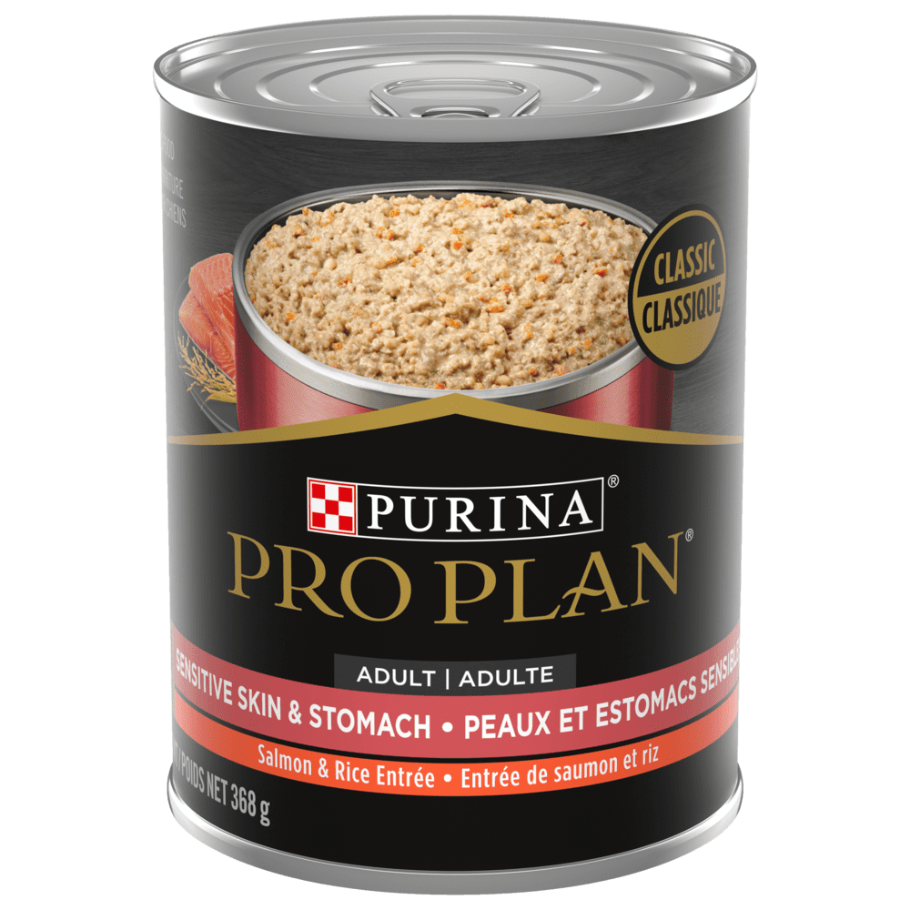Purina Pro Plan chien peaux & estomacs saumon & riz classique