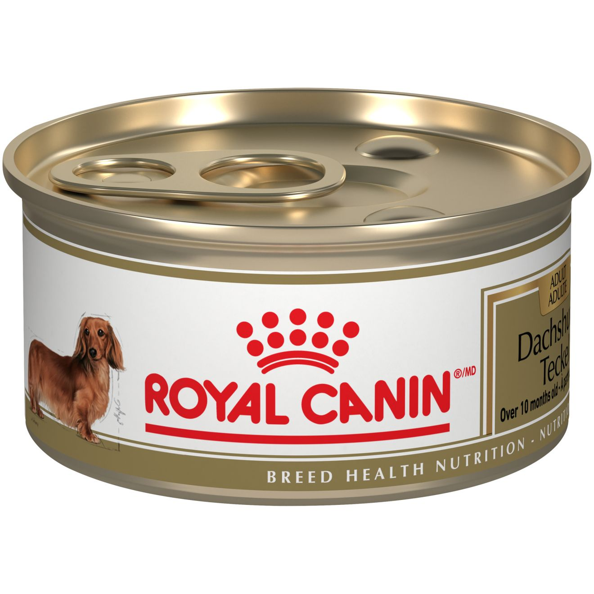 Royal Canin Teckel Pâté en sauce – Nourriture humide pour chien