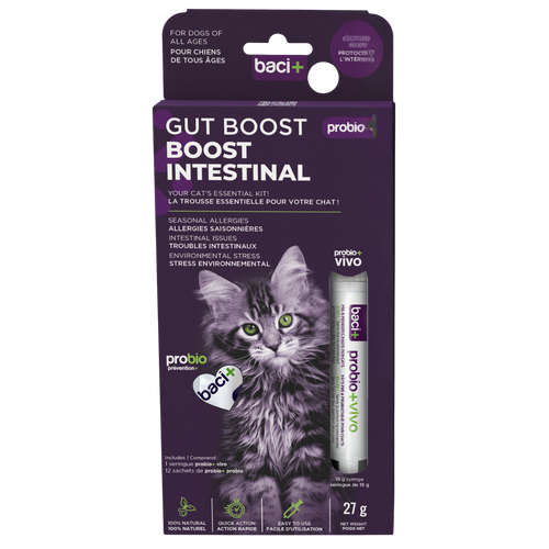 Baci+ – Boost intestinal pour chat