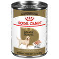 Royal Canin Labrador Retriever Pâté en sauce – Nourriture humide pour chien