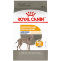 Royal Canin Grand Soin Peau Sensible – Nourriture sèche pour chien