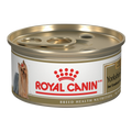 Royal Canin Yorkshire Terrier Pâté en sauce – Nourriture humide pour chien