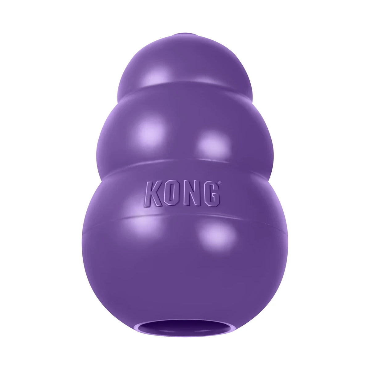 KONG Sénior pour chien