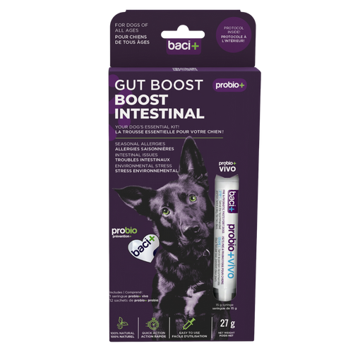 Baci+ – Boost intestinal pour chien