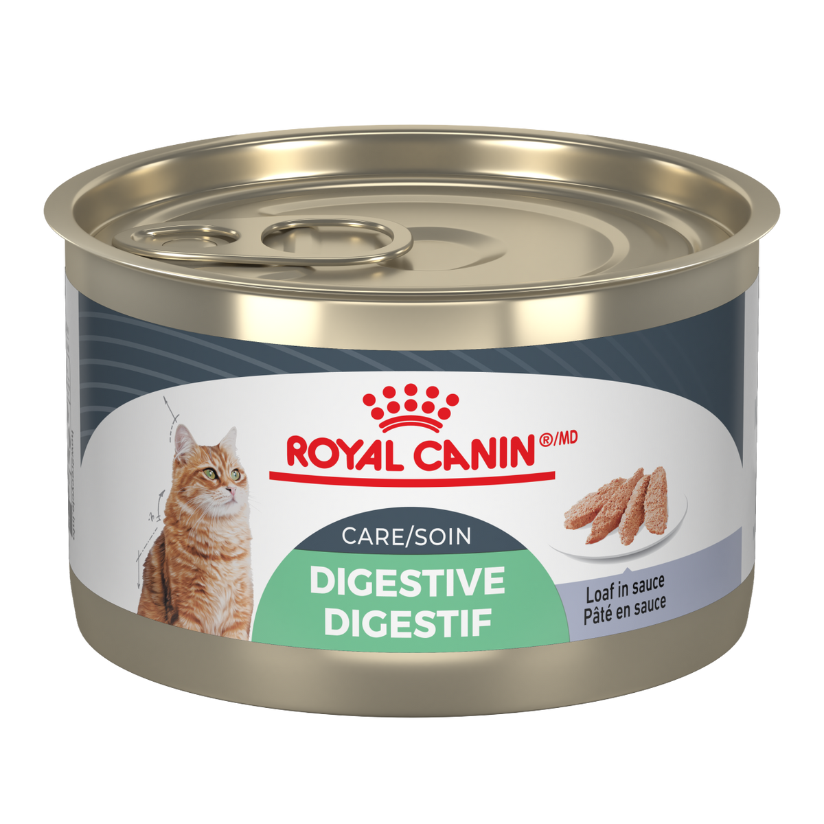 Royal Canin Soin Digestif Pâté en sauce – Nourriture humide pour chat