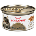 Royal Canin Maine Coon Tranches en sauce – Nourriture humide pour chat