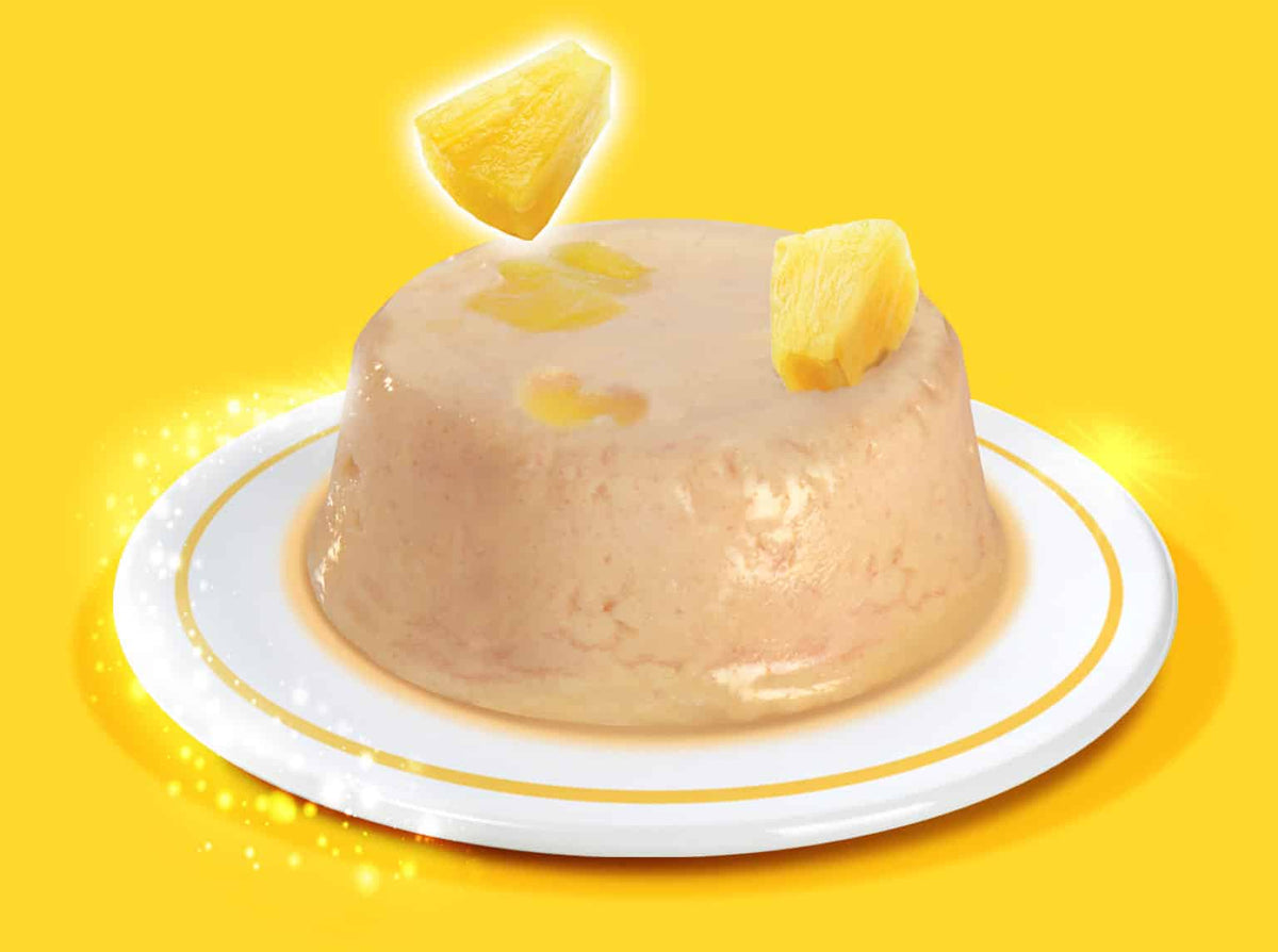 Gâteries Catit Creamy Cups, Mousse de poulet avec ananas pour chat