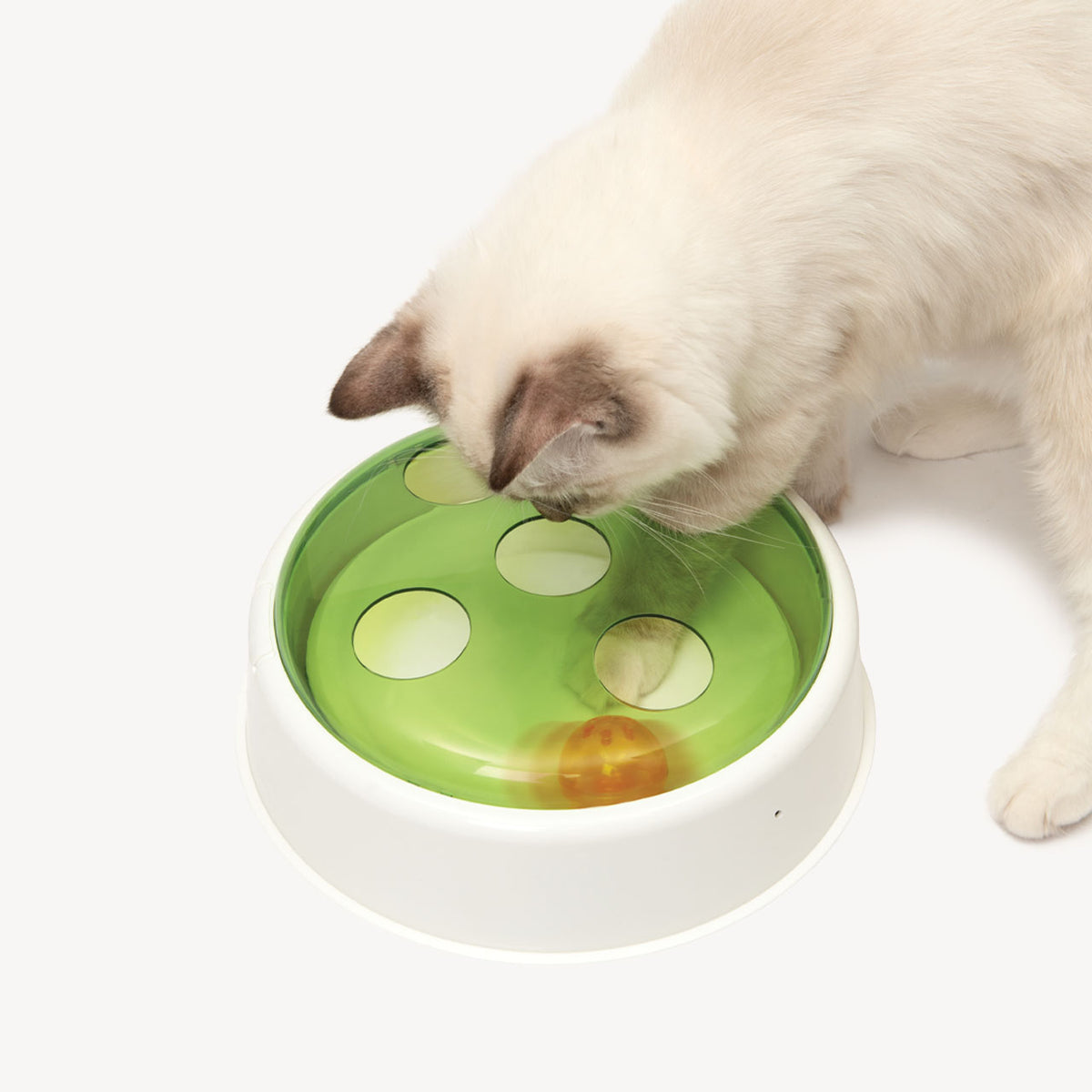 Dôme avec balle Catit Senses 2.0 pour chat