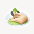 Station de bien-être Catit Senses 2.0 pour chat