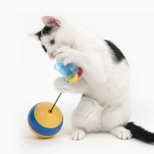 Abeille culbuto Catit Play pour chat
