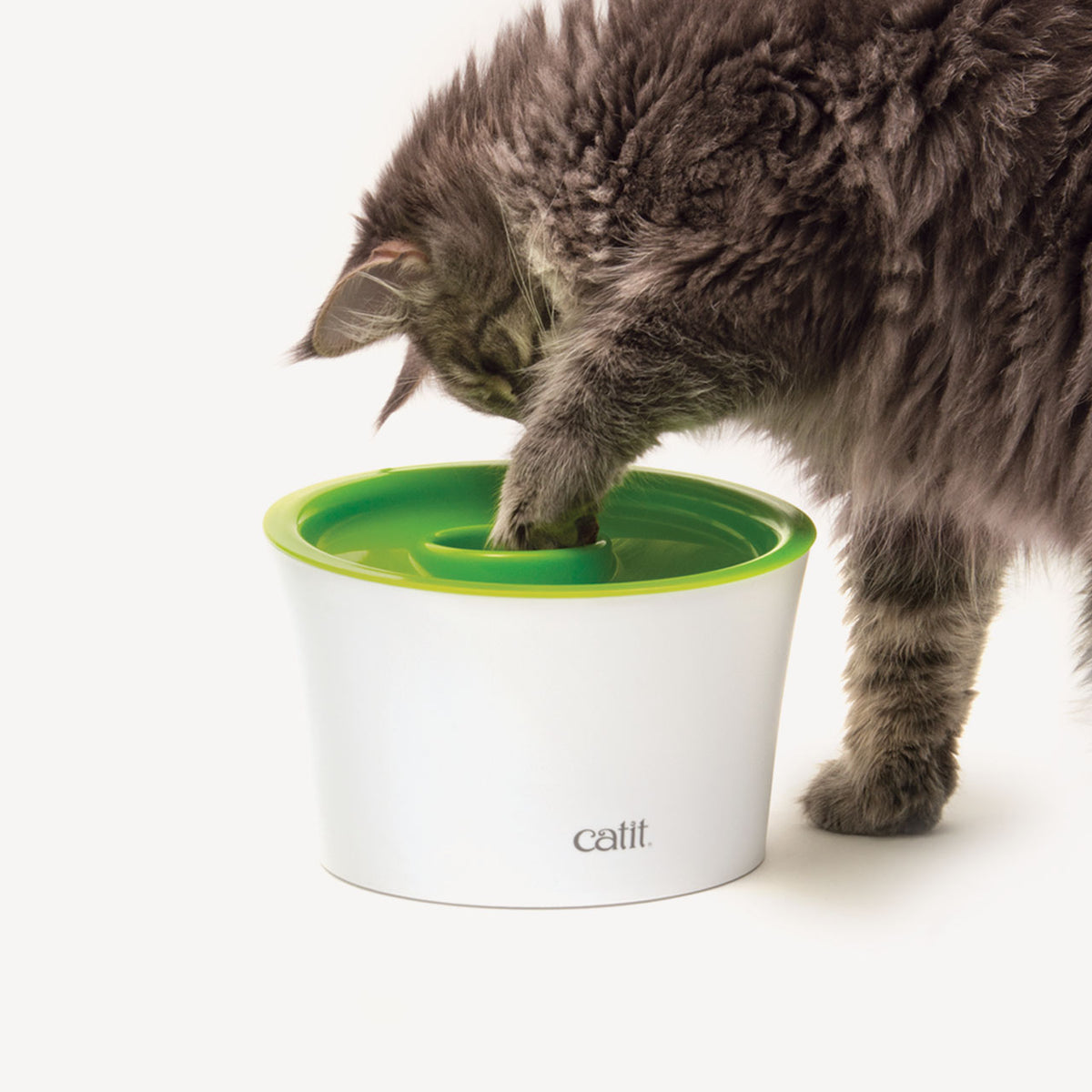 Bol multifonctionnel Catit pour chat