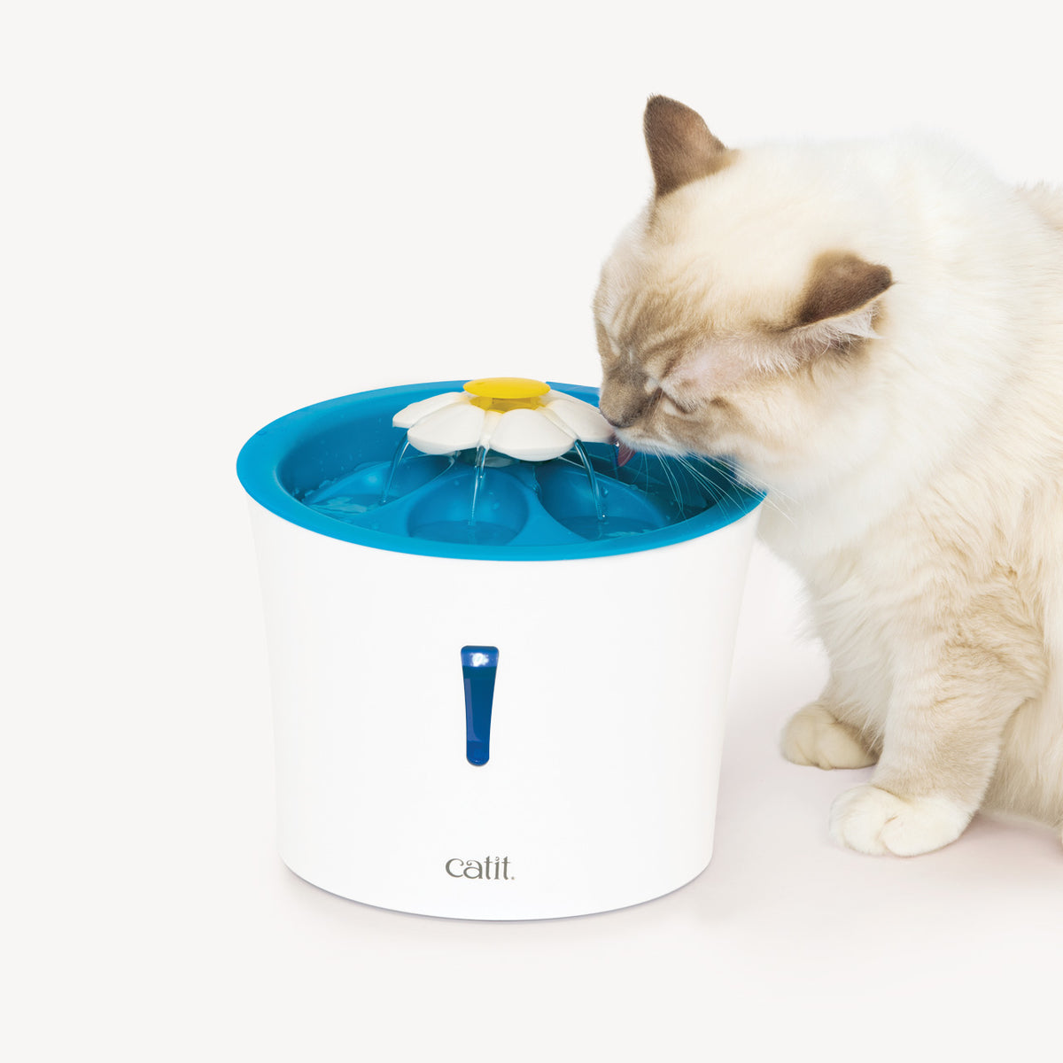 Abreuvoir Catit avec fleur et veilleuse à DEL pour chat