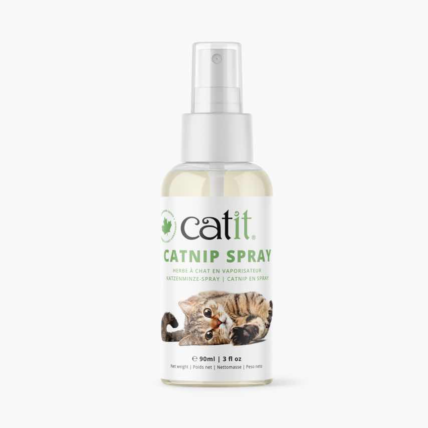 Herbe à chat Catit en vaporisateur