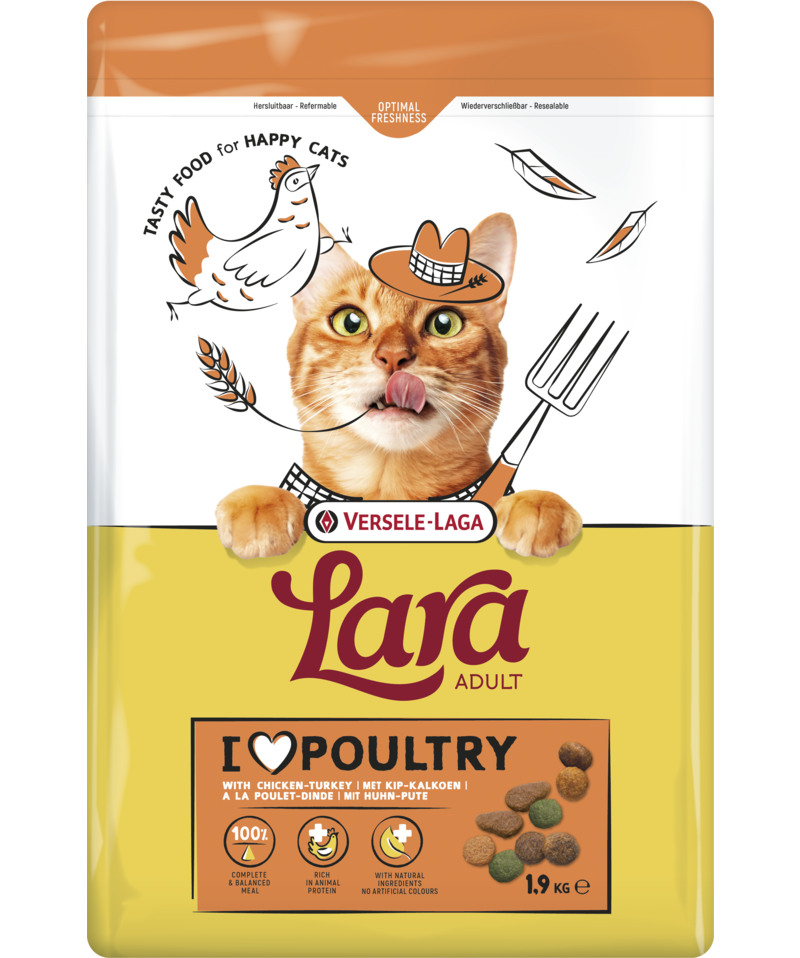 Lara chat adulte Poulet-Dinde