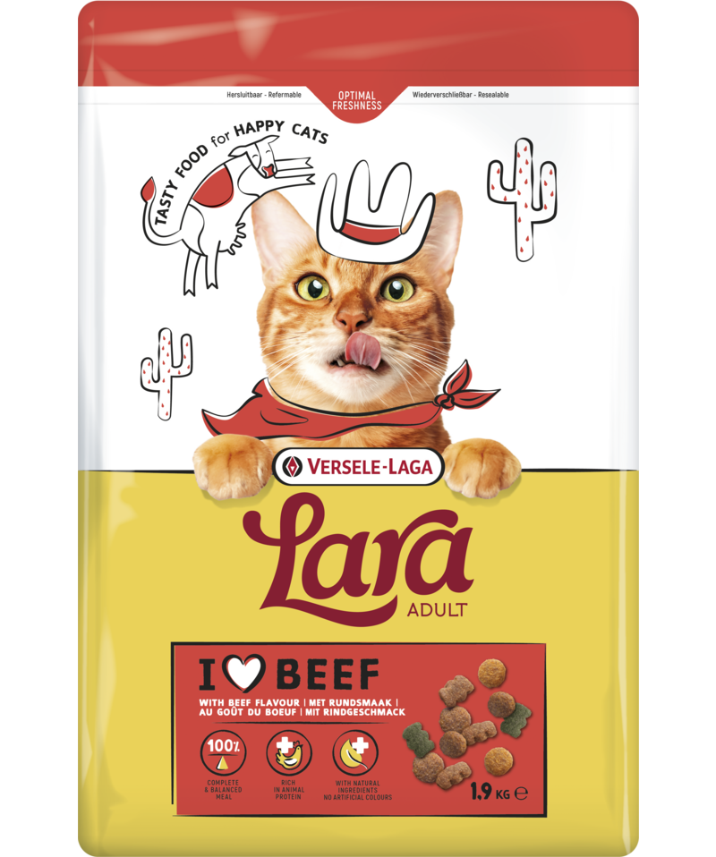 Lara chat adulte saveur de boeuf