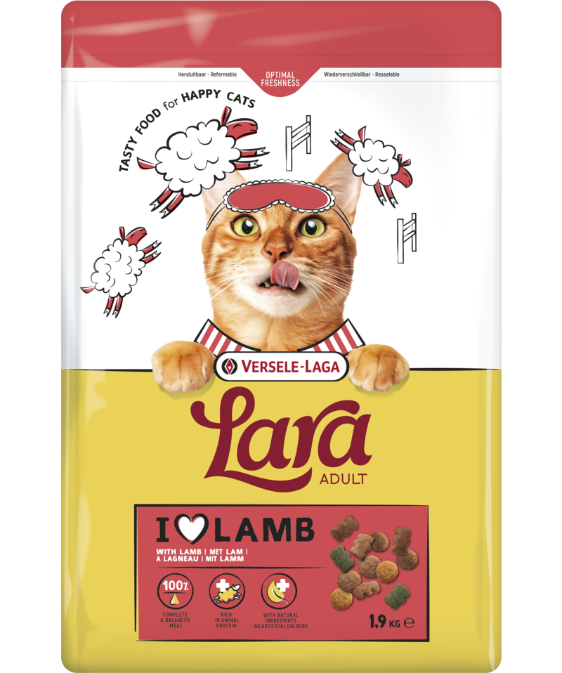 Lara chat adulte agneau