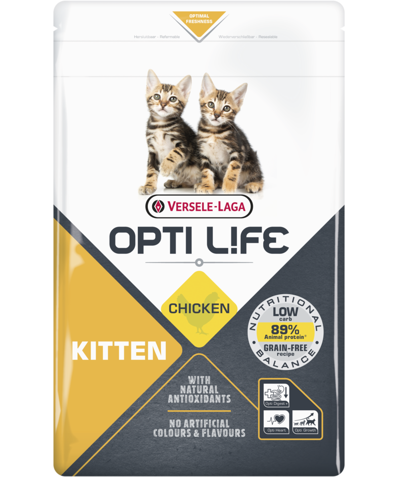Optilife chaton