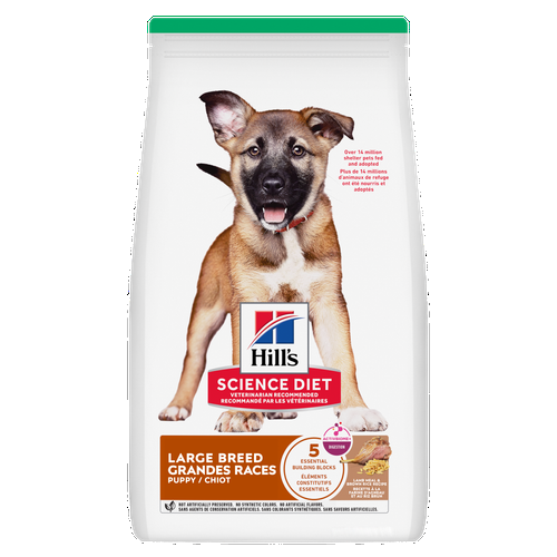 Hill's Science Diet Chiot Grande Races Agneau & Riz