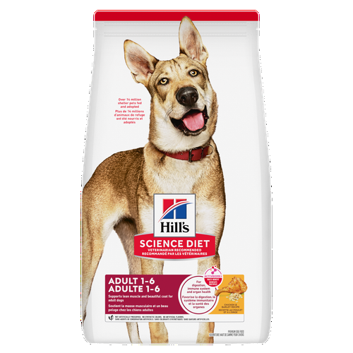 Hill's Science Diet Chien Adulte Poulet & Orge