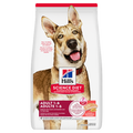 Hill's Science Diet Chien Adulte Saumon & Riz