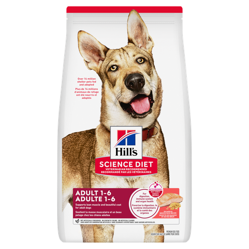Hill's Science Diet Chien Adulte Saumon & Riz