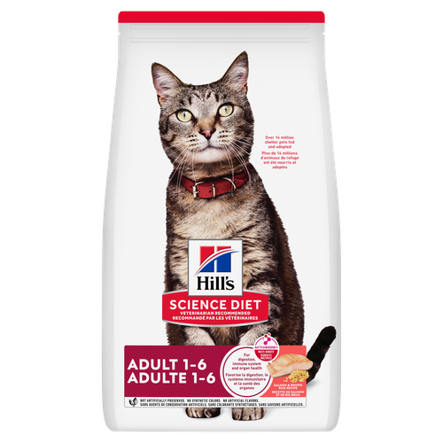 Hill's Science Diet Chat Adulte Saumon & Riz