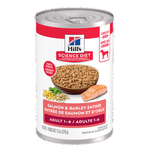 Hill's Science Diet Chien Adulte Entrée de Saumon & Orge