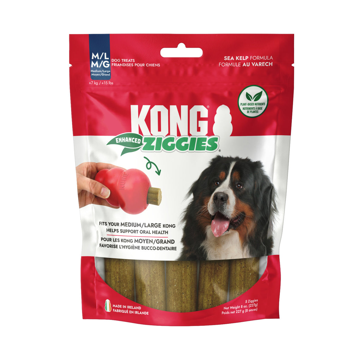 KONG « Ziggies » Gâteries Améliorés pour chien