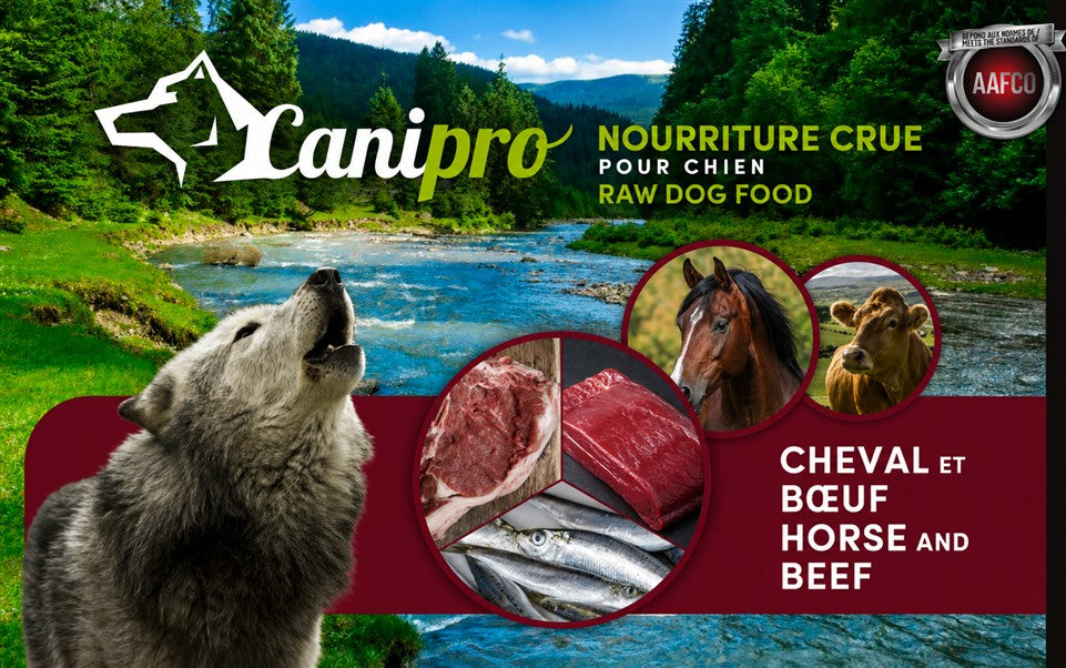 Canipro Boeuf et Cheval Pour Chien