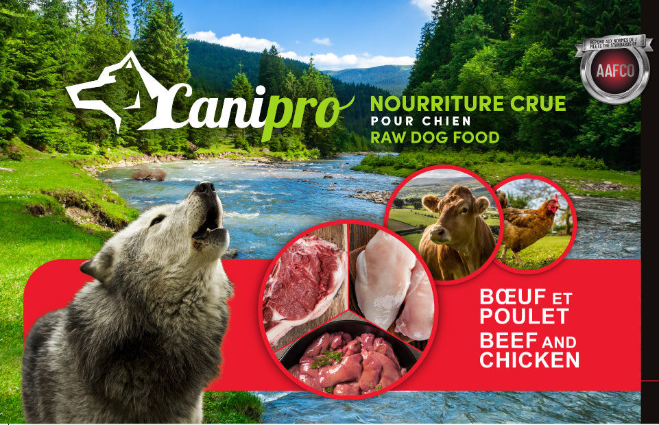 Canipro Boeuf et Poulet Pour Chien