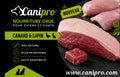 Canipro Canard et Lapin Pour Chien (Recette Occasionnelle)