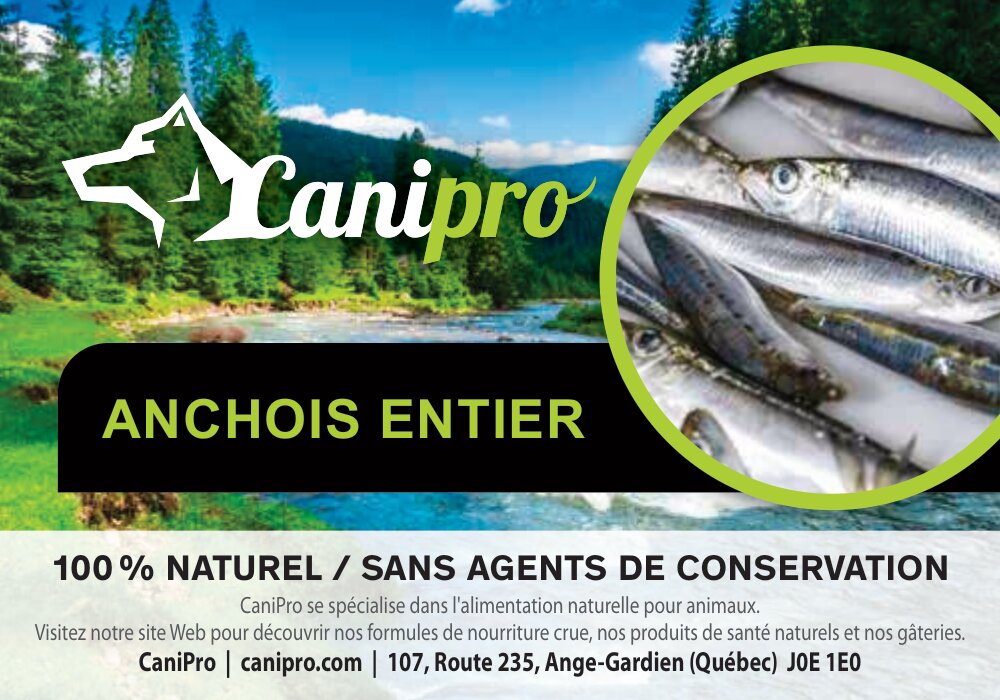 Canipro Anchois Entier Sauvage