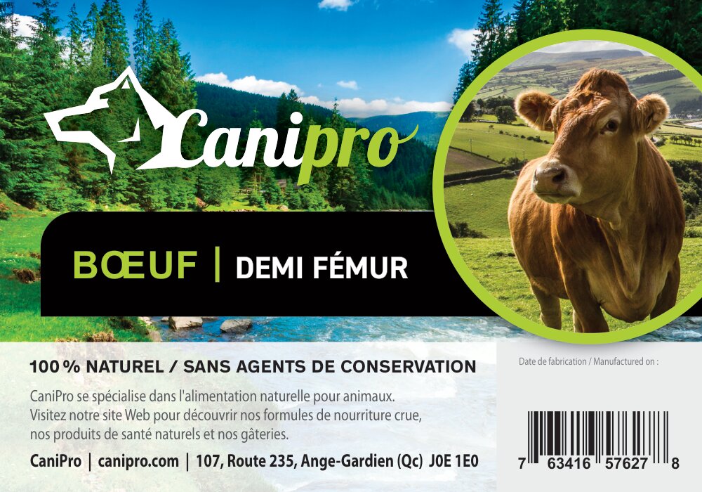 Canipro demi fémur de Boeuf