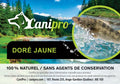 Canipro Filet de Doré Jaune