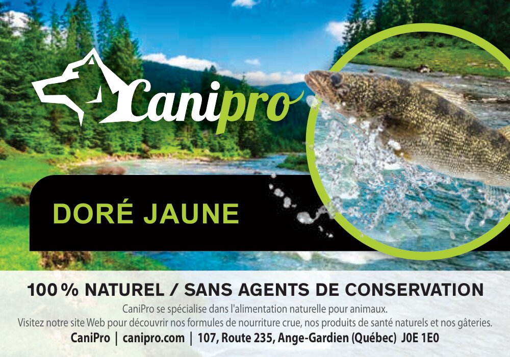 Canipro Filet de Doré Jaune