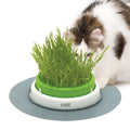 Ensemble de semences Catit Senses 2.0, 3 paquets de graines pour chat