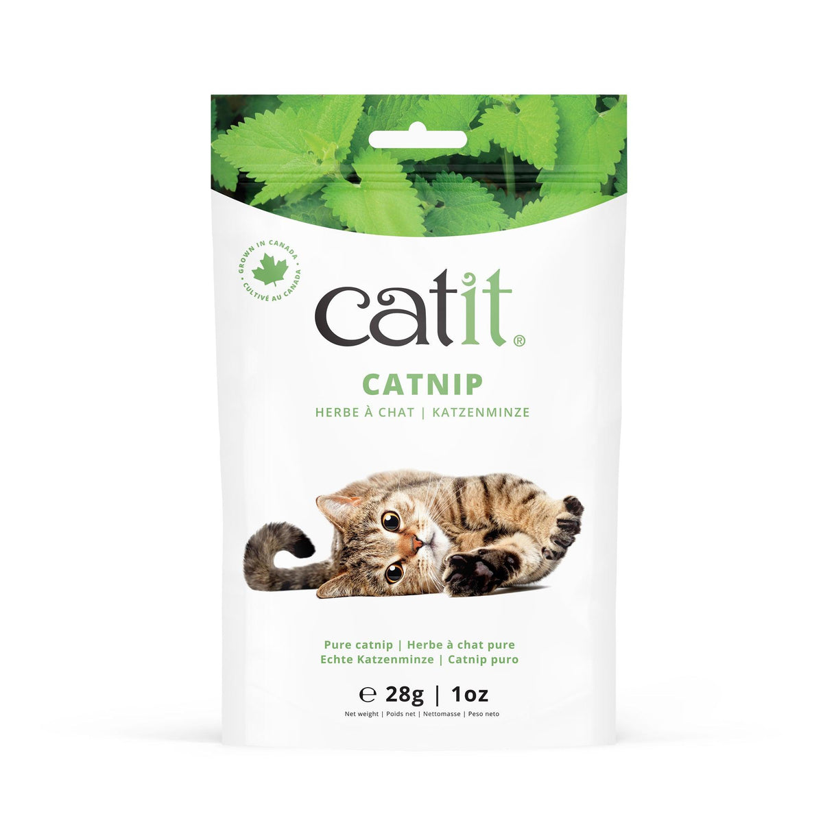 Herbe à chat Catit, feuilles et fleurs entièrement canadiennes