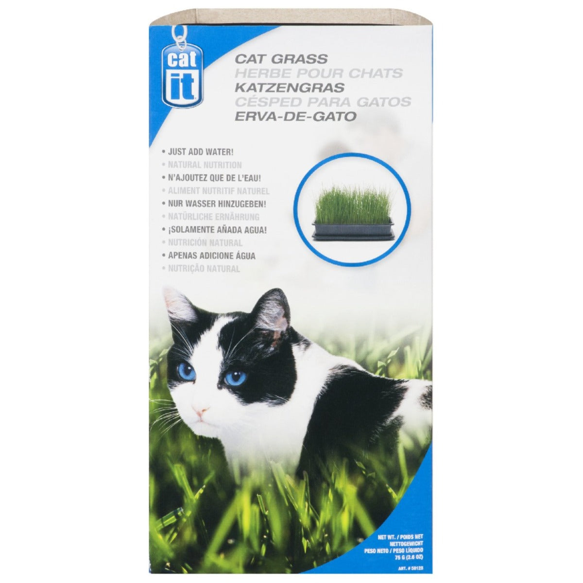 Herbe Catit pour chats